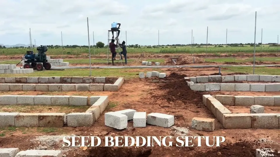 1-Acre Sandalwood Nursery Underway @ GreenX Farm | SmartAgro