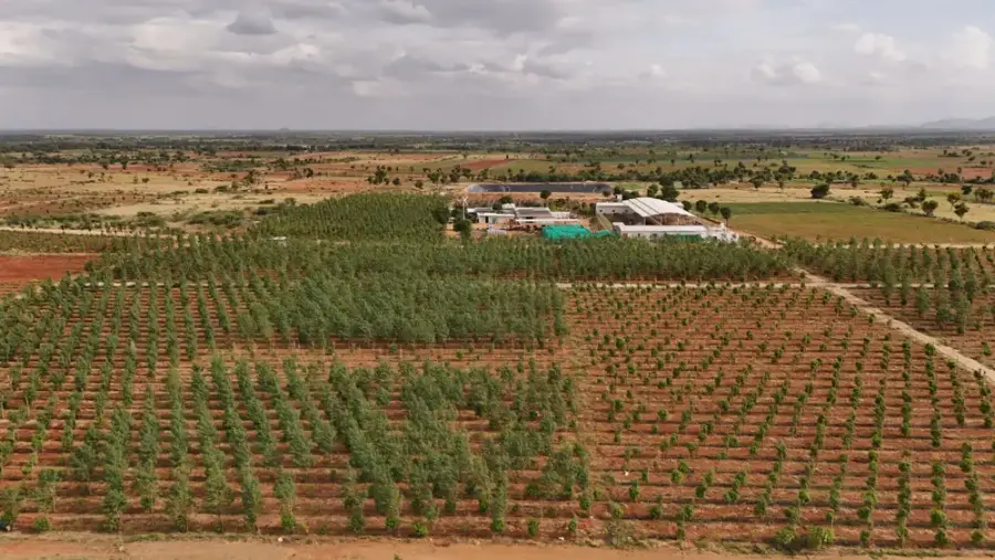 Aerial view of one-acre farm plots at GreenX near Bengaluru