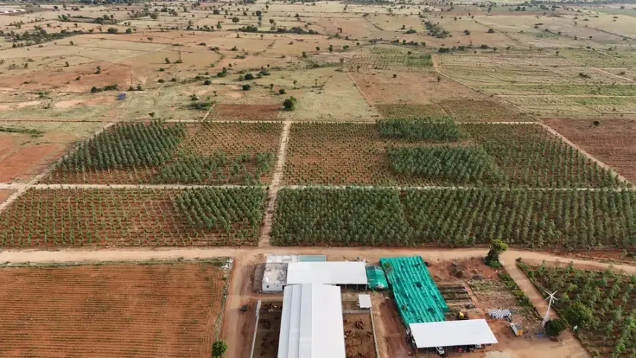 Aerial view of half-acre farm plots at GreenX