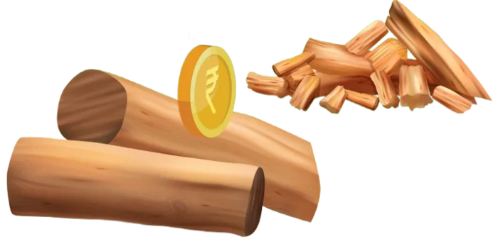 Sandalwood image